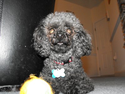 ./2009/Nigel/thumbNigel